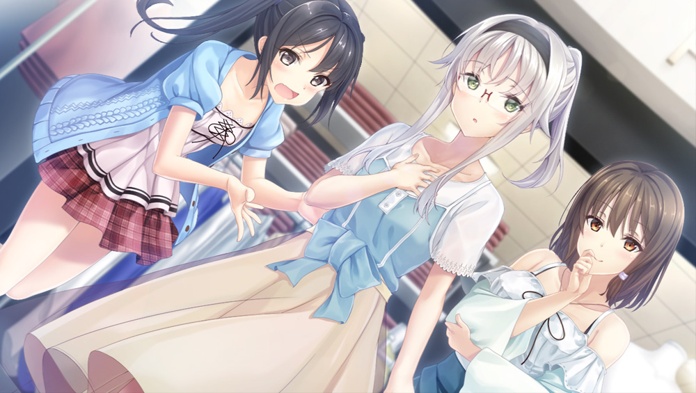 【大型ADV/中文】未来广播与人工鸽 V1.03 官方中文步兵版+全CG存档★全CV【5G】-次元神域 【大型ADV/中文】未来广播与人工鸽 V1.03 官方中文步兵版+全CG存档★全CV【5G】-次元神域