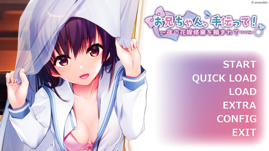【ADV/汉化】哥哥,帮帮我!~夜晚的新娘训练 AI汉化版+存档★全CV【新汉化/700M】-次元神域