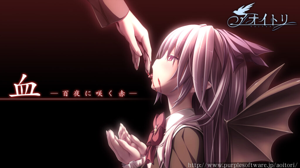 【PC/2D/大型GAL/汉化】青鸟 精翻汉化步兵版+全CG存档 [天之圣杯]【6.7G】-次元神域