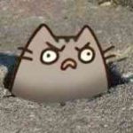 Karen的头像-Hello world!